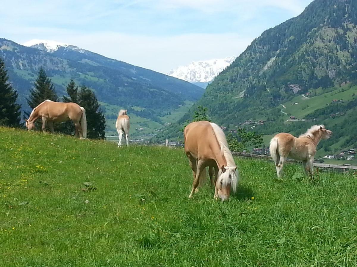 Schmalzgrubengut Lejlighed Bad Hofgastein Eksteriør billede